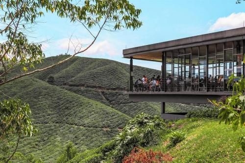 ออร์คิด เฮฟเว่น (Orchid Haven)2
