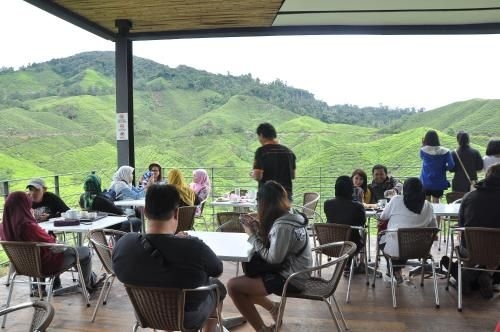 ออร์คิด เฮฟเว่น (Orchid Haven)0
