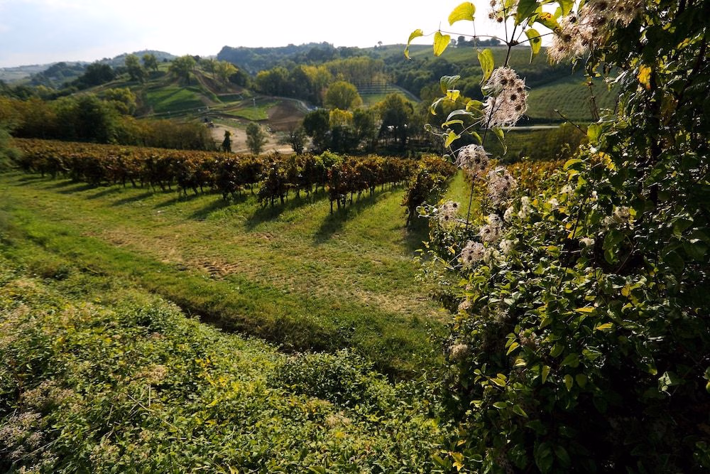 Trere Azienda Agricola0