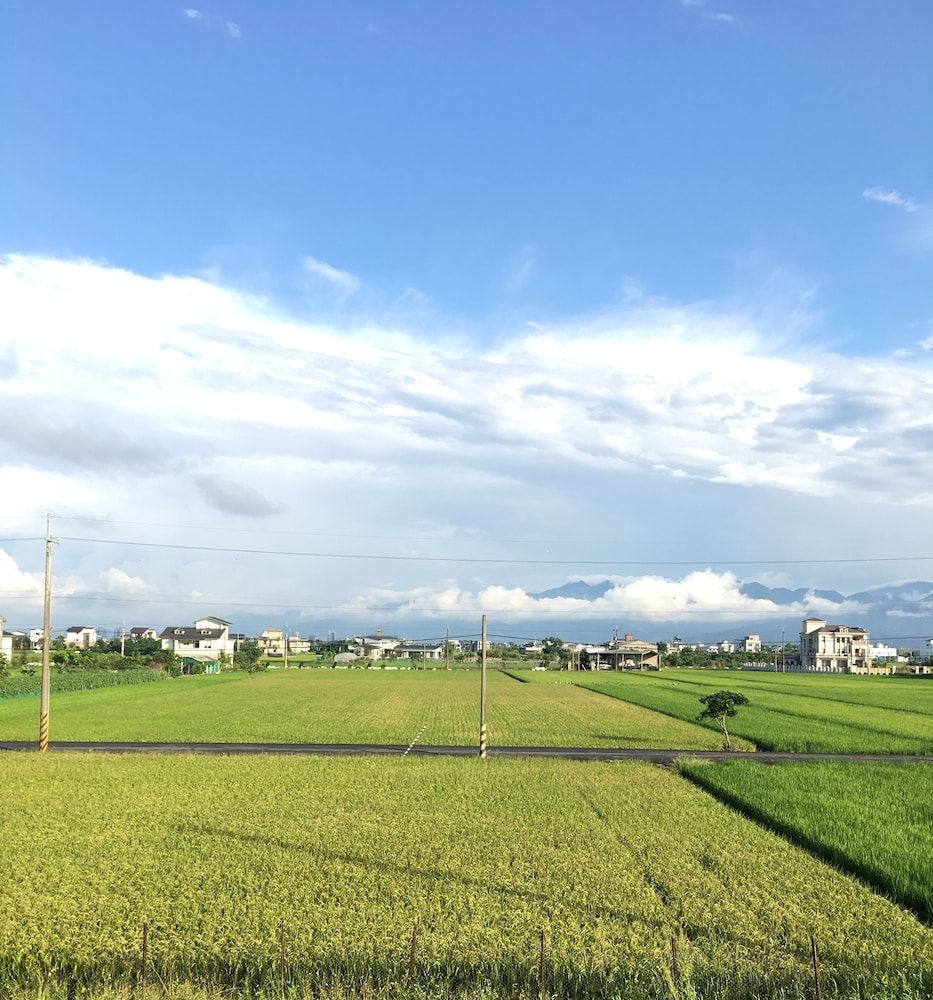 Buluba1