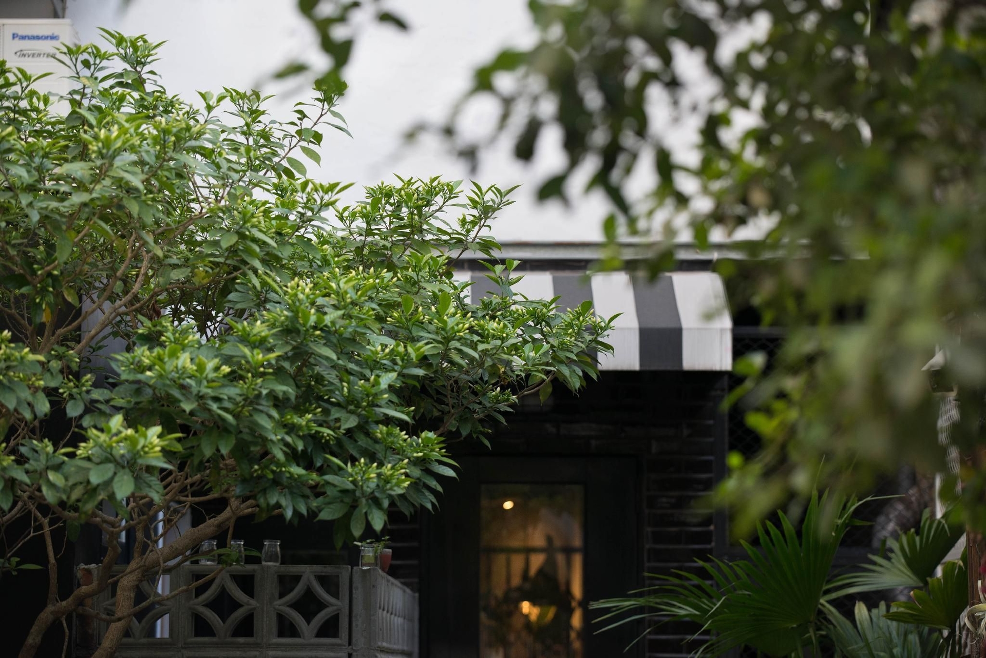 เบิร์ดอาย การ์เดน (Birdeye Garden)4