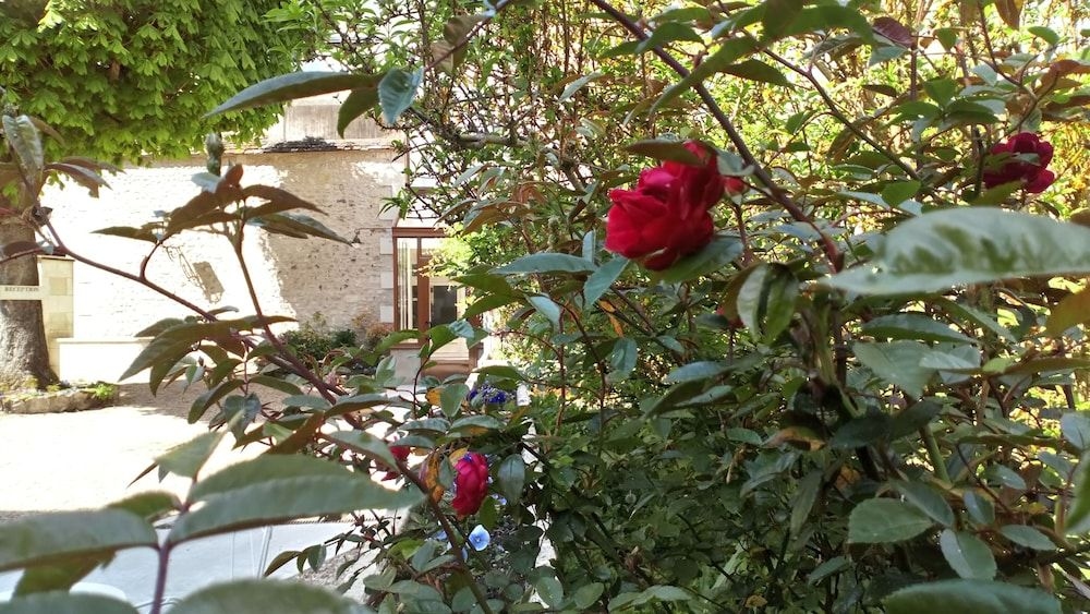 Le Grand Monarque3