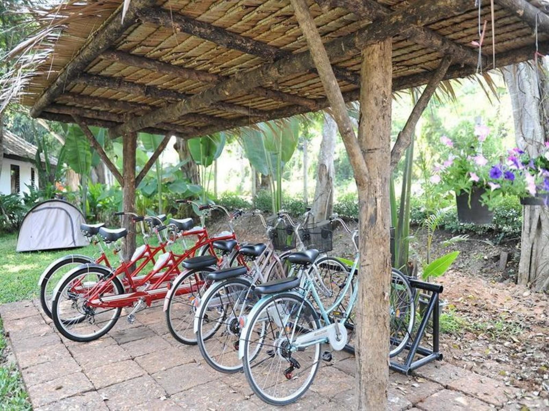 สิปปะ ฮอทสปริง (Sippa Hot Spring Resort)4