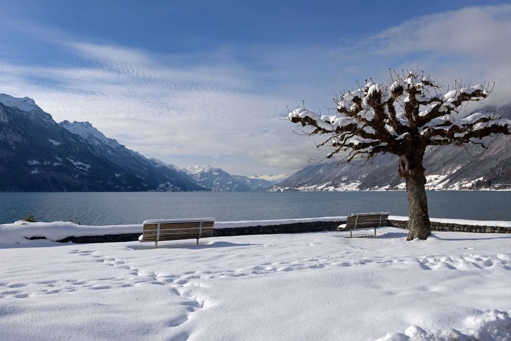 Brienz4