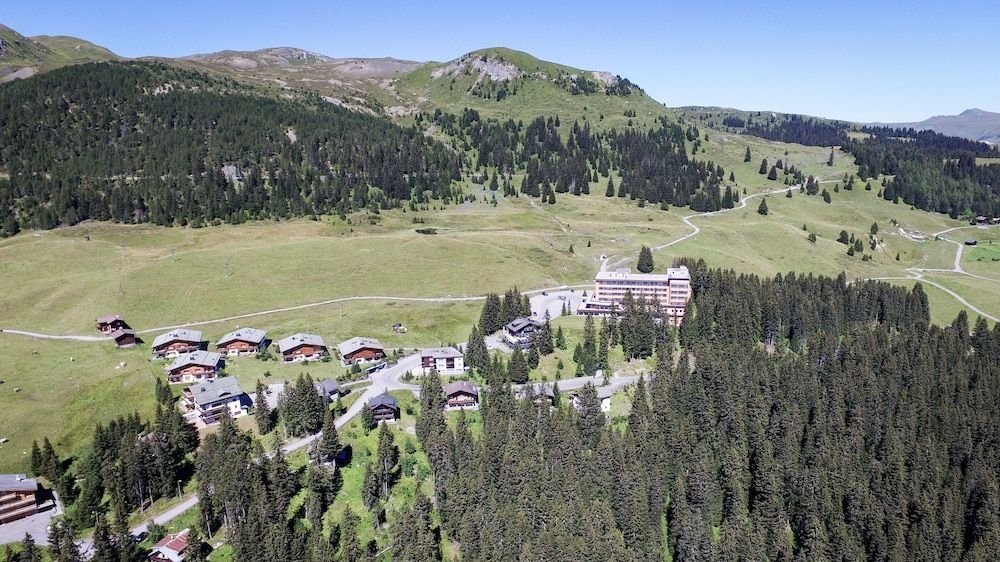 Arlenwald4