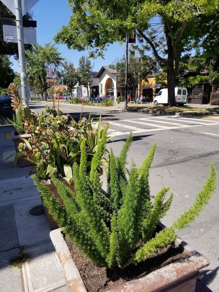 Sens and Vanne Bistro Berkeley1