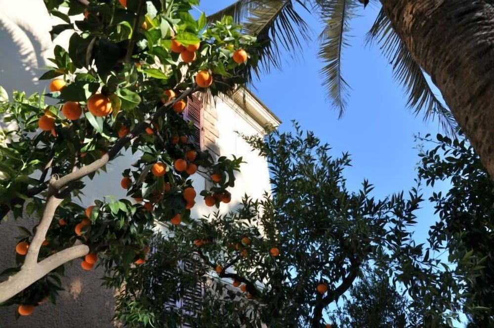 LODI ROME3