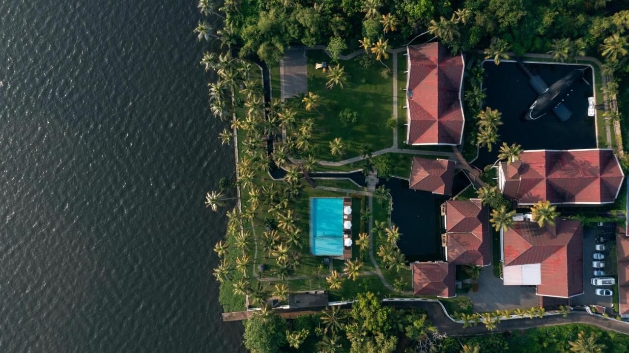 Lake Canopy0