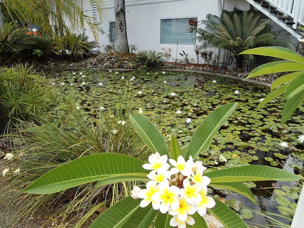 Mango House Resort4
