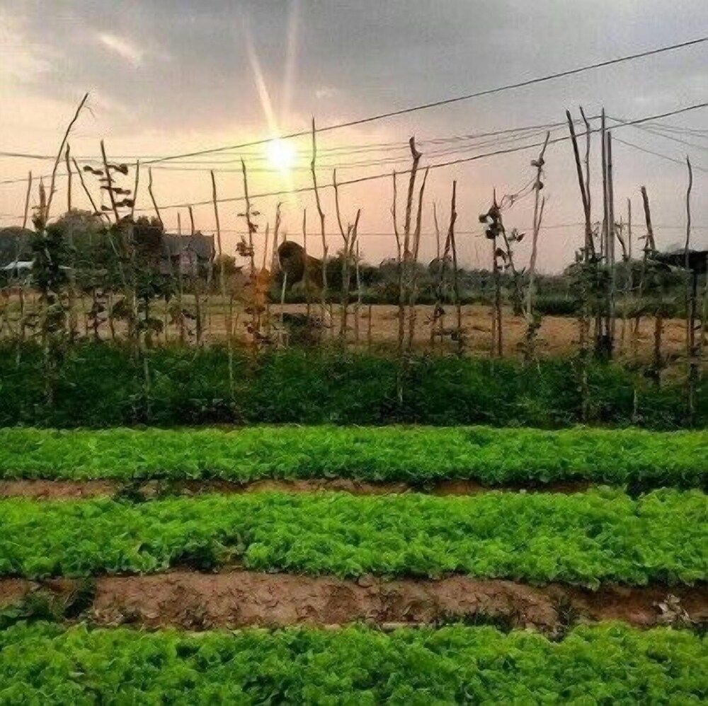 วังน้ำก่ำริเวอร์ไซด์ รีสอร์ท (Wangnamkam Riverside Resort)2