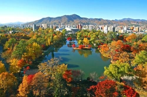 โรงแรมซัปโปโร พาร์ค (Sapporo Park Hotel)4