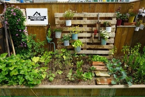 Grim Garden1