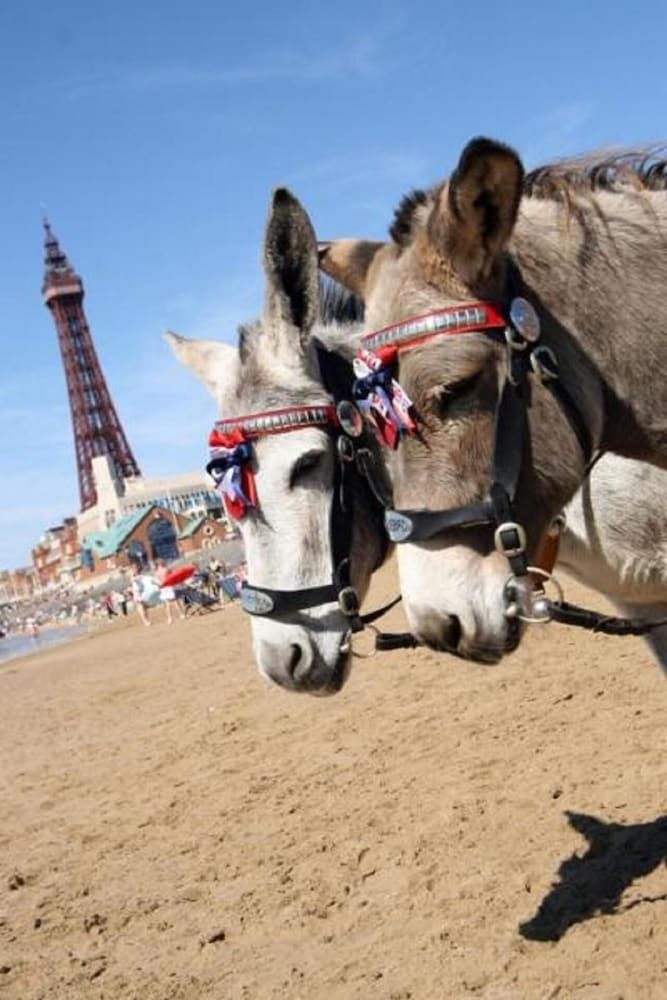 Savoy Blackpool3
