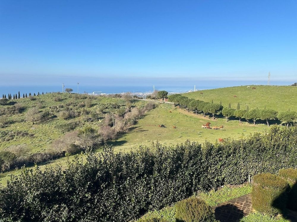 TENUTA DELL ARGENTO1