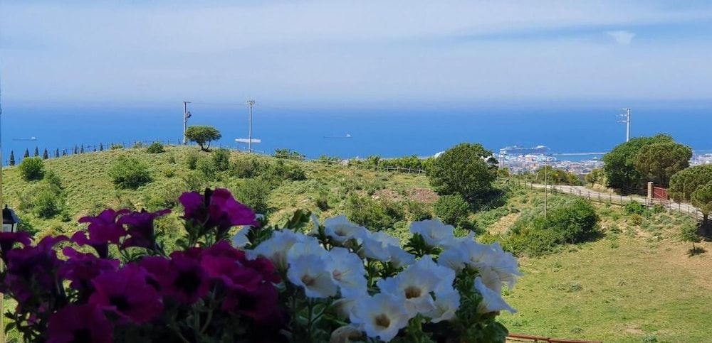 TENUTA DELL ARGENTO4