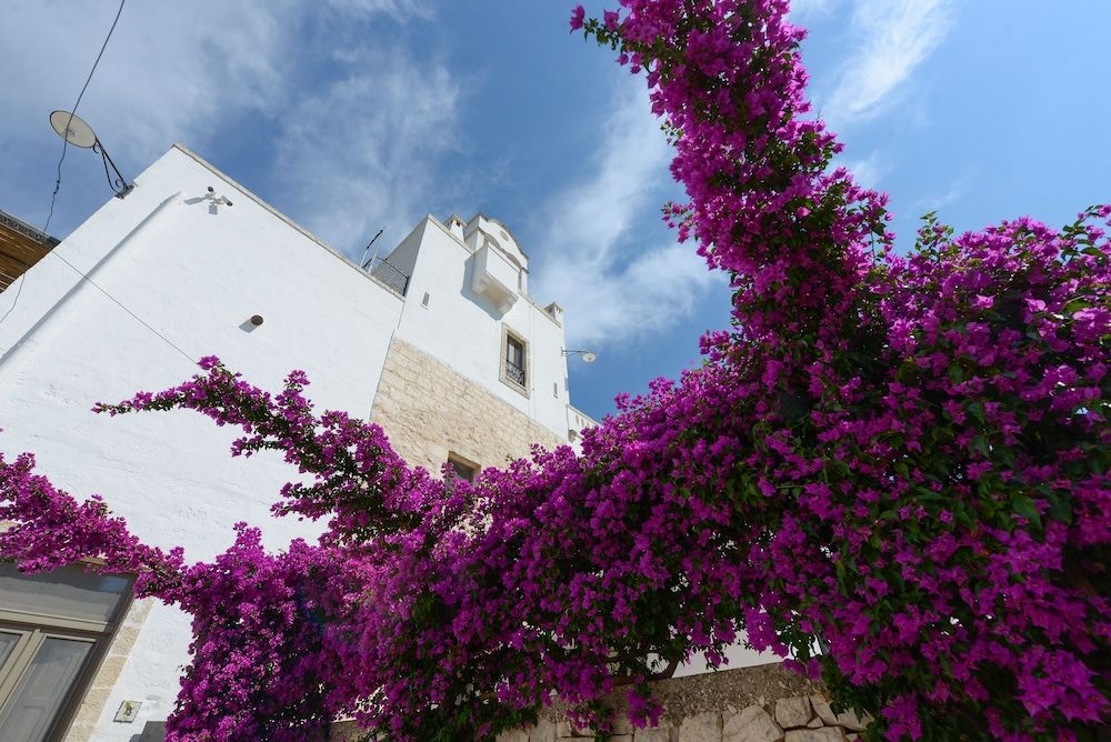 Masseria Lamiola Piccola1