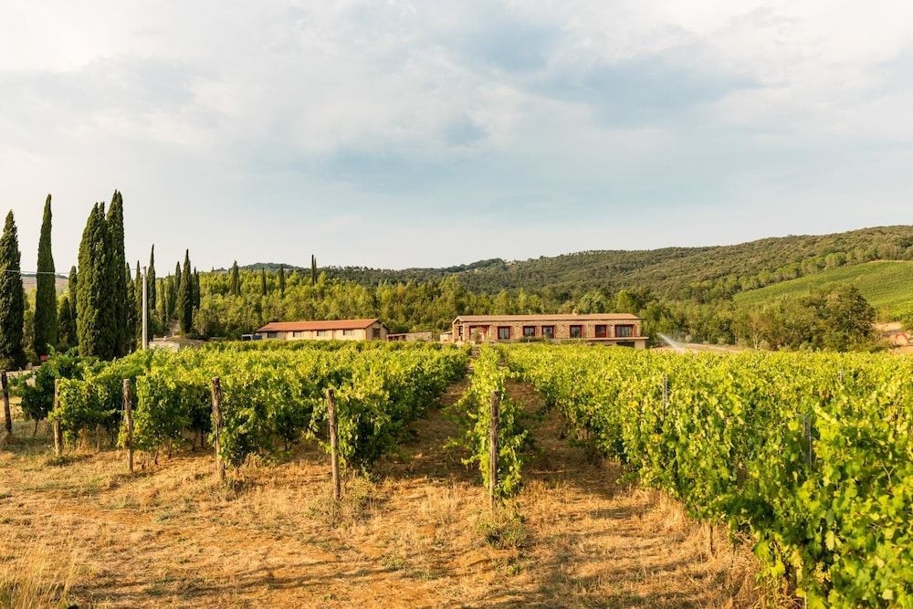 Tenuta Casteani1