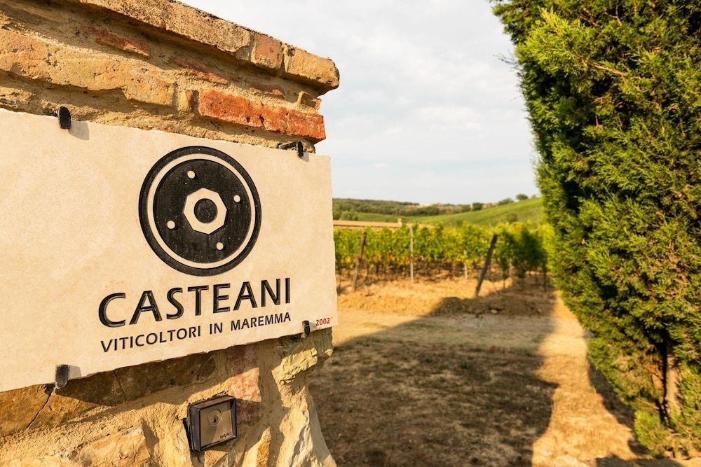 Tenuta Casteani4