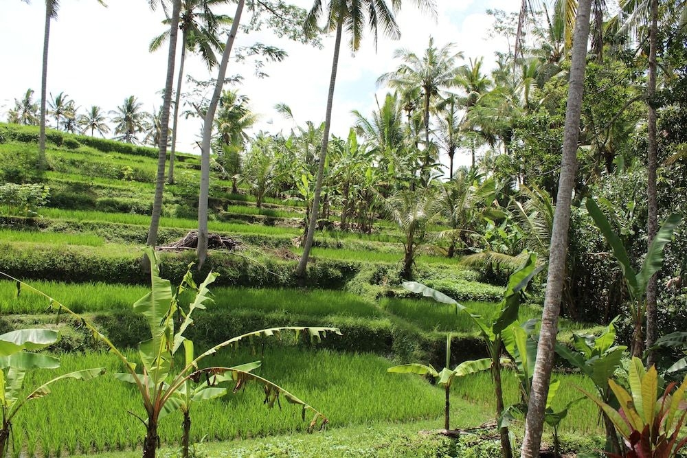 Junjungan Suite Villa1