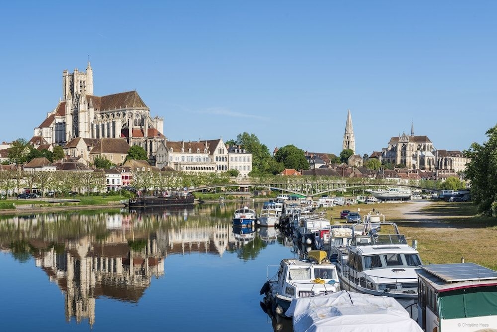 Cerise Auxerre4