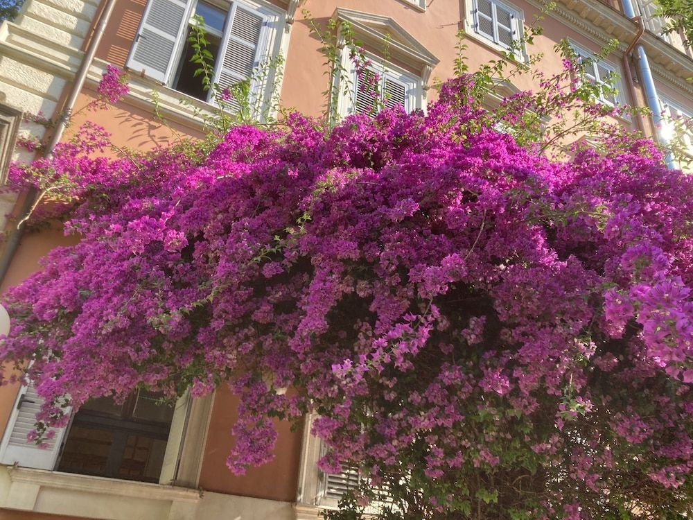 Casa Valdese0