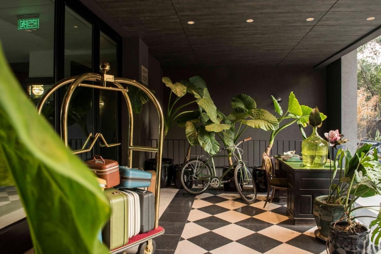 Boutique Bidasoa4