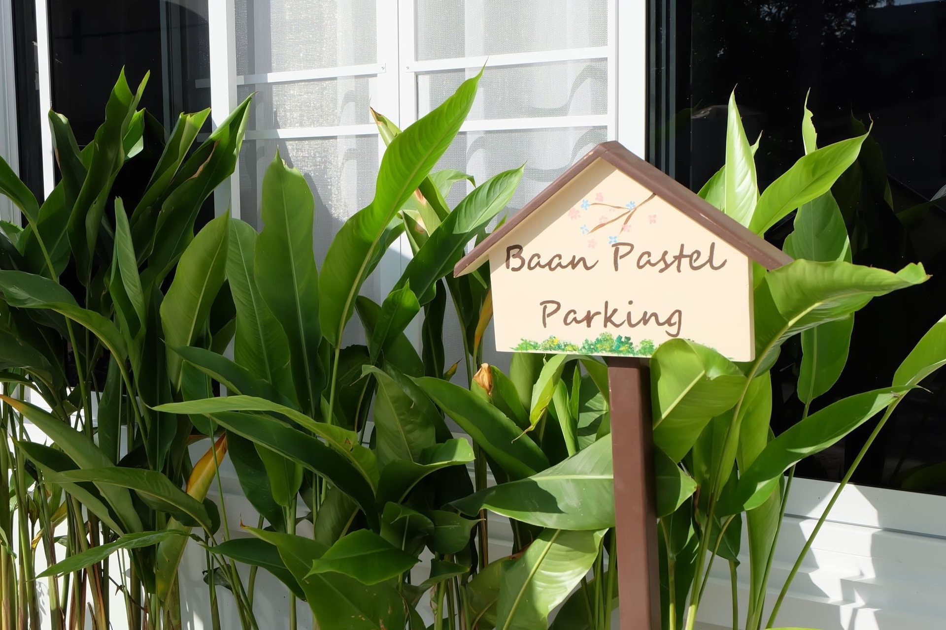 บ้านพาสเทล บูทิก โฮเต็ล (Noble Baan Pastel Boutique Hotel)4