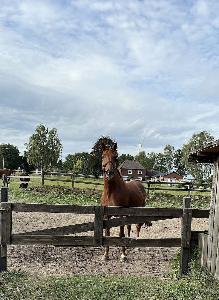 Vessens Hoff Wentziens Gasthof0