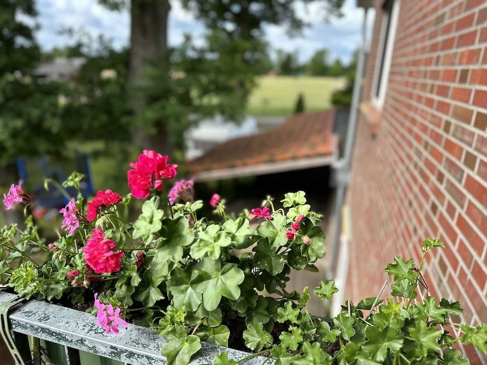 Vessens Hoff Wentziens Gasthof4