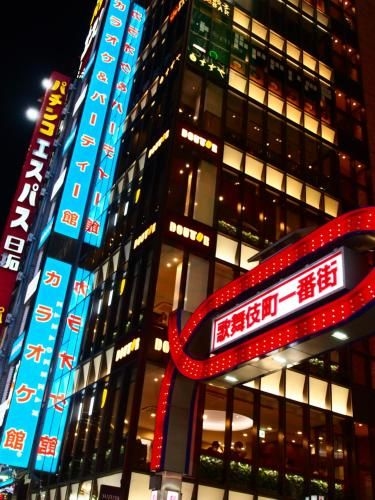 โรงแรมคาโดยะ (Kadoya Hotel)2