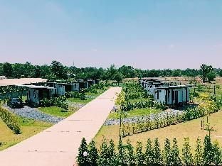 Boxotel Resort3