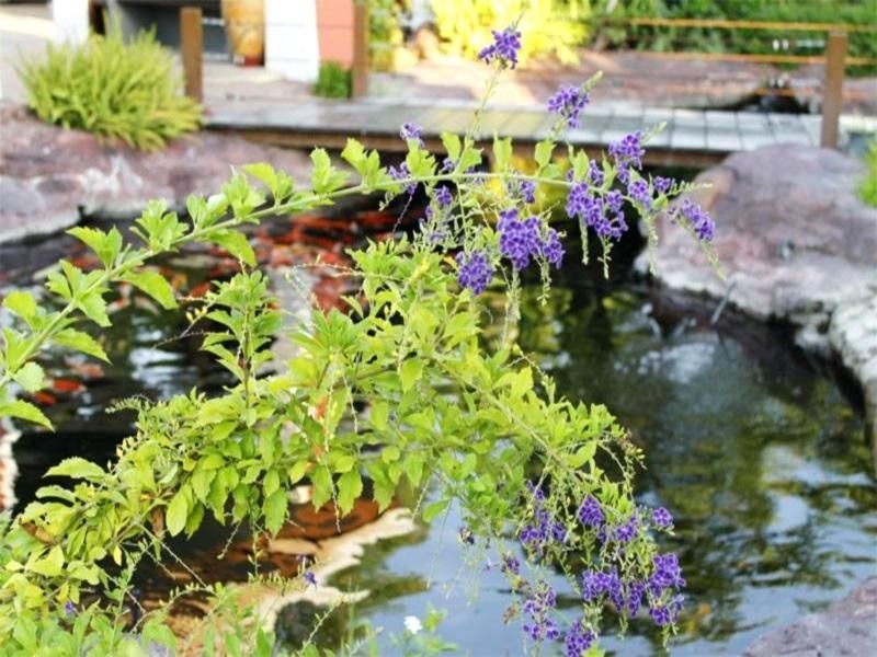 ทรัพย์ไพบูลย์ แกรนด์ รีสอร์ท  (Saabpaiboon Grand Resort)2