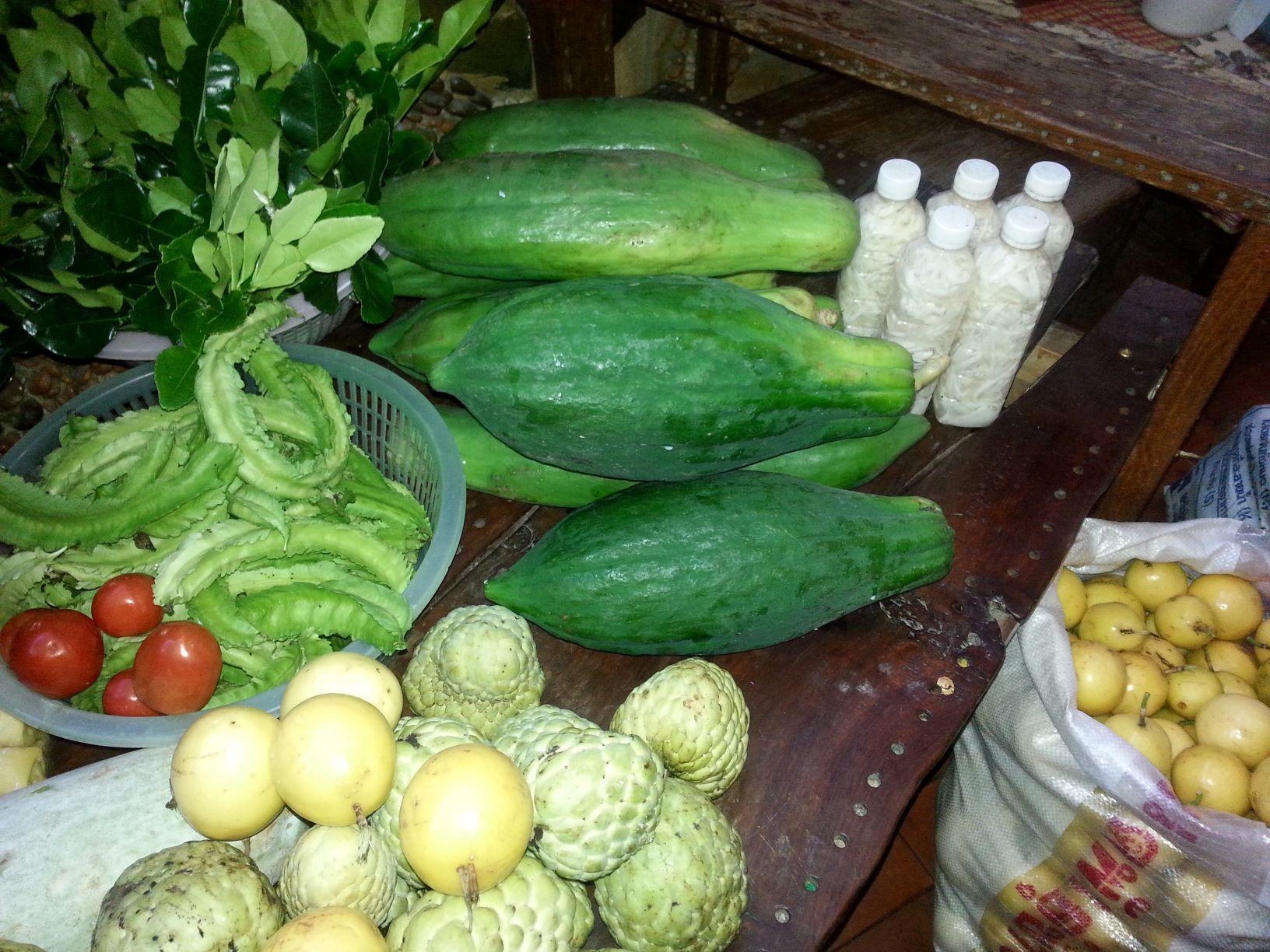 ศานติ ออร์แกนิค ฟาร์ม (Shanti Organic FArm)3