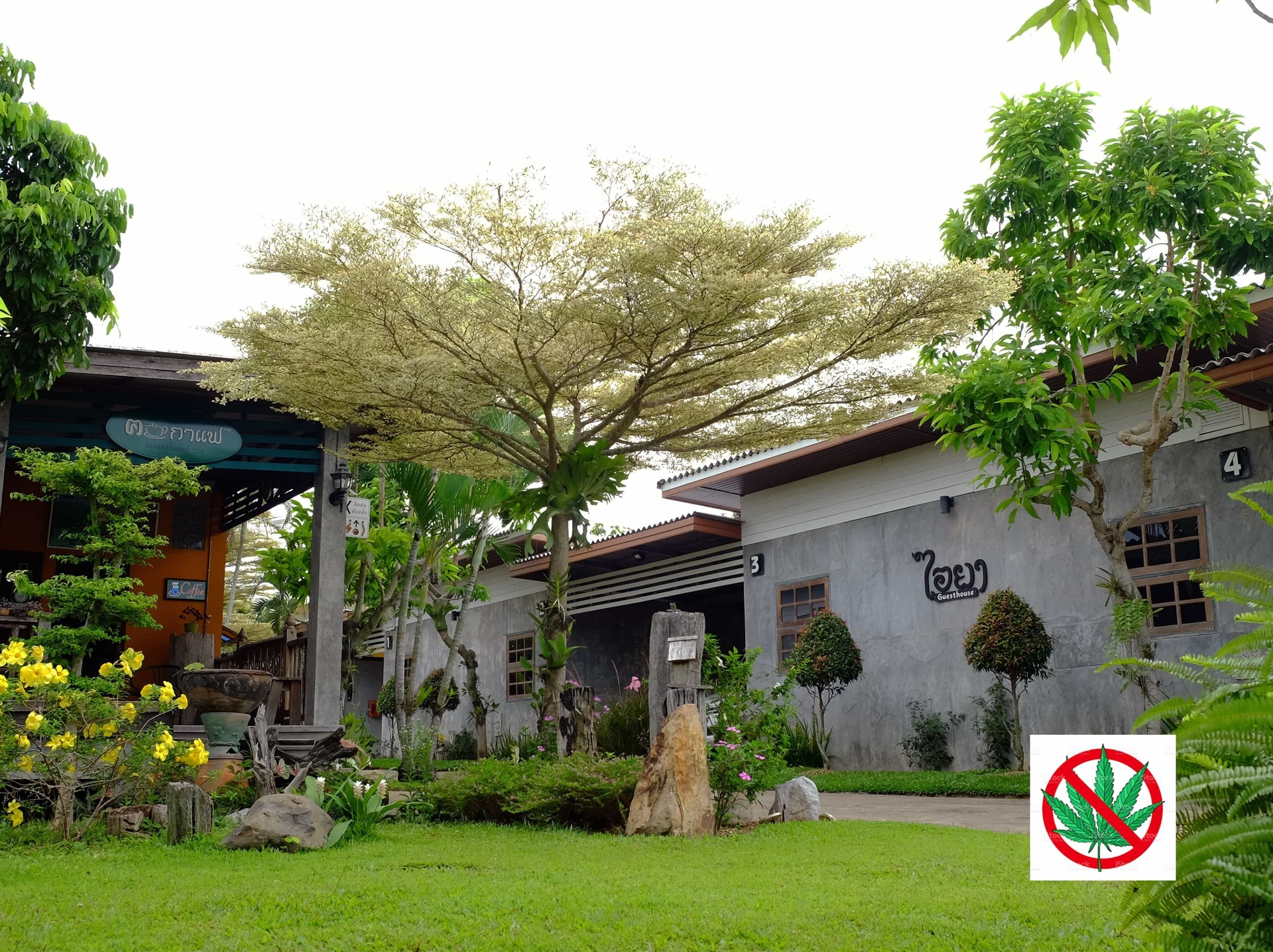 ไอยา เกสต์เฮ้าส์  (I Ya Guesthouse)2