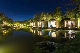 Into The Forest Resort4