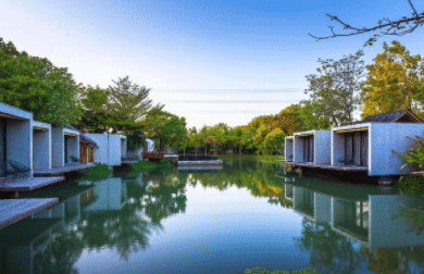 Into The Forest Resort2