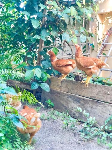 Elsie Evans Art Retreat1