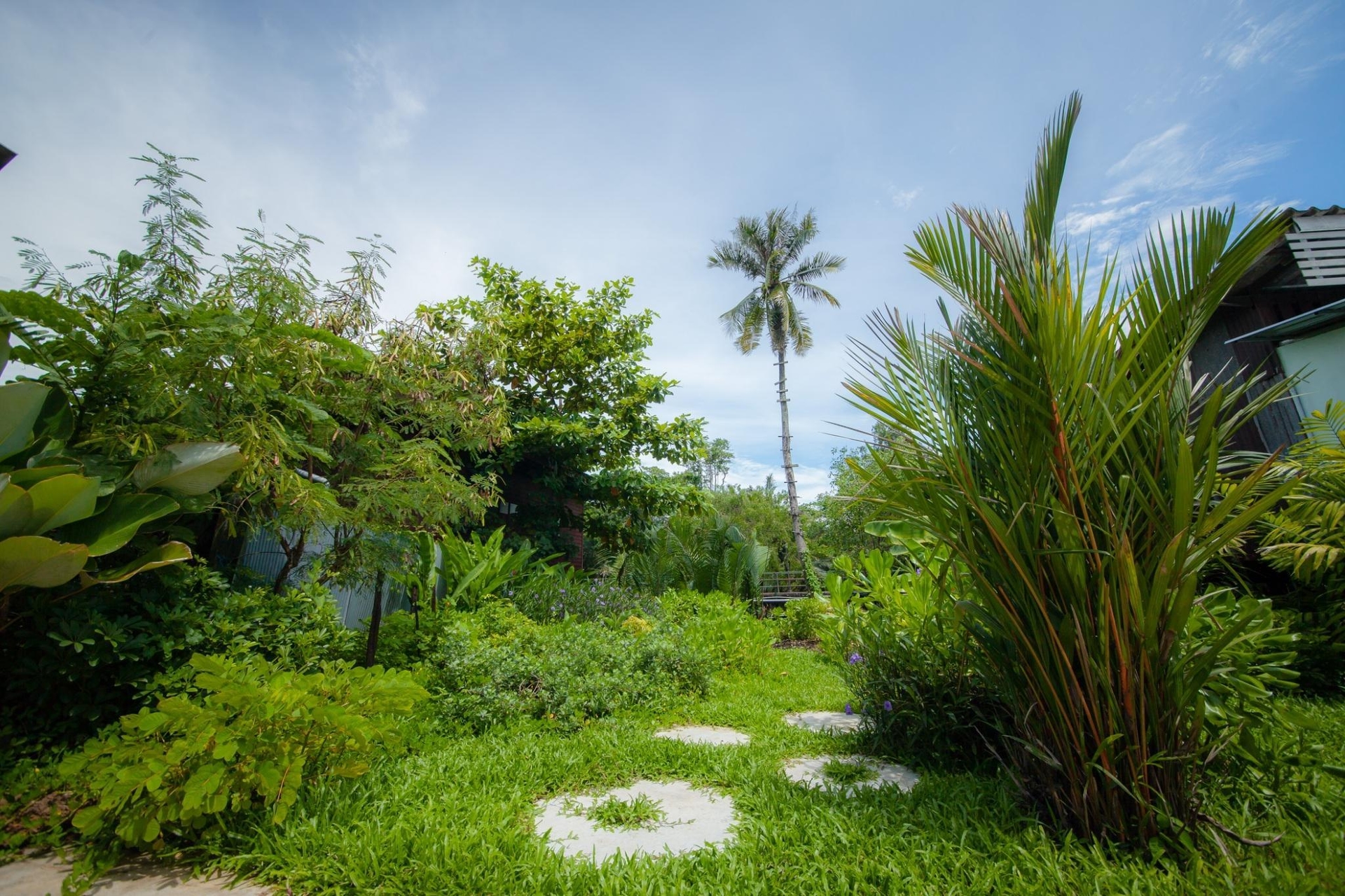 โรงแรมตราด 101 (Trat 101 Hotel)4