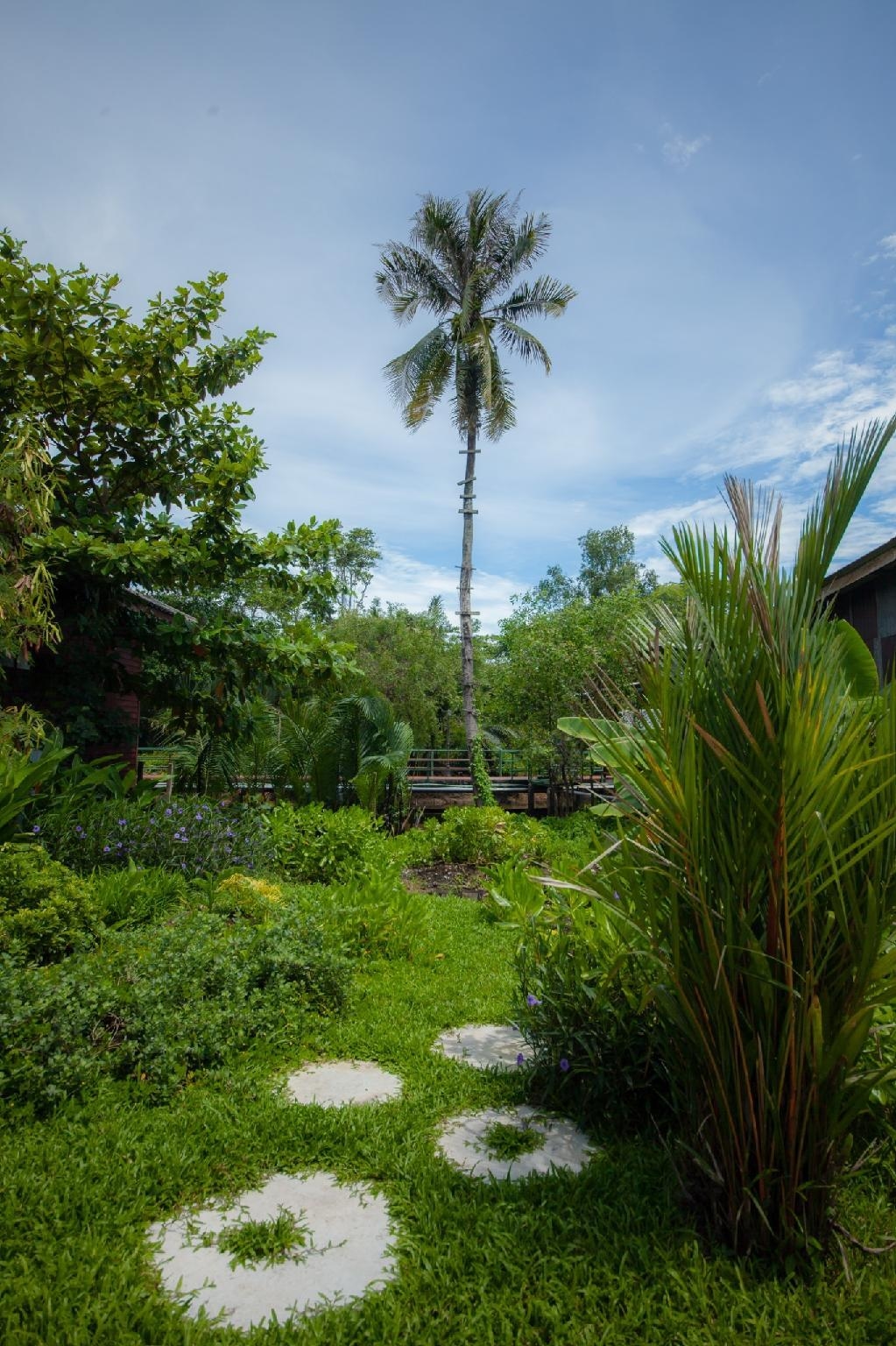 โรงแรมตราด 101 (Trat 101 Hotel)3