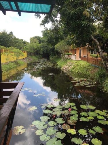 ศรีกิจบ้านสวน รีสอร์ท (Srikij Garden Home Resort)4