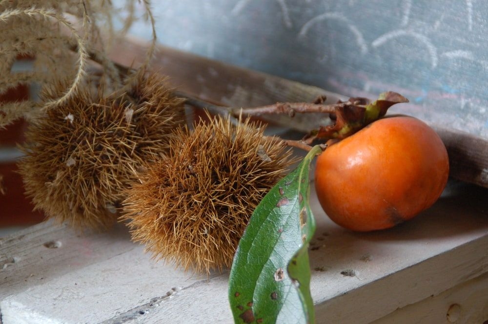 Tabinoya / Vacation STAY 178230