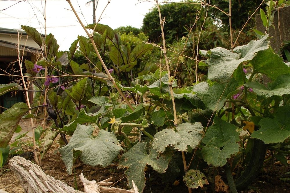 Tabinoya / Vacation STAY 178231