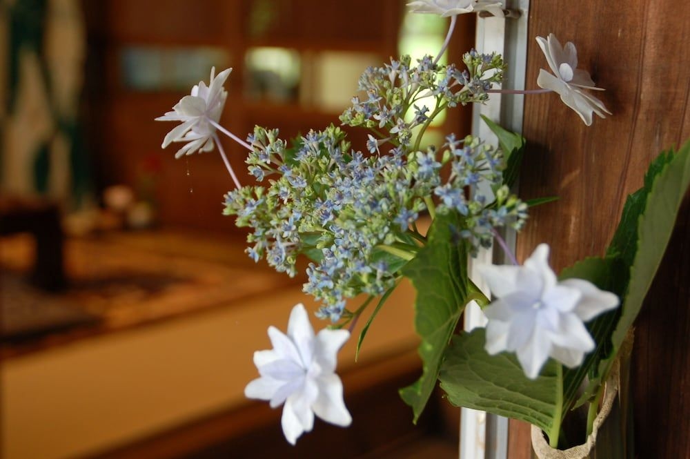 Tabinoya / Vacation STAY 178234