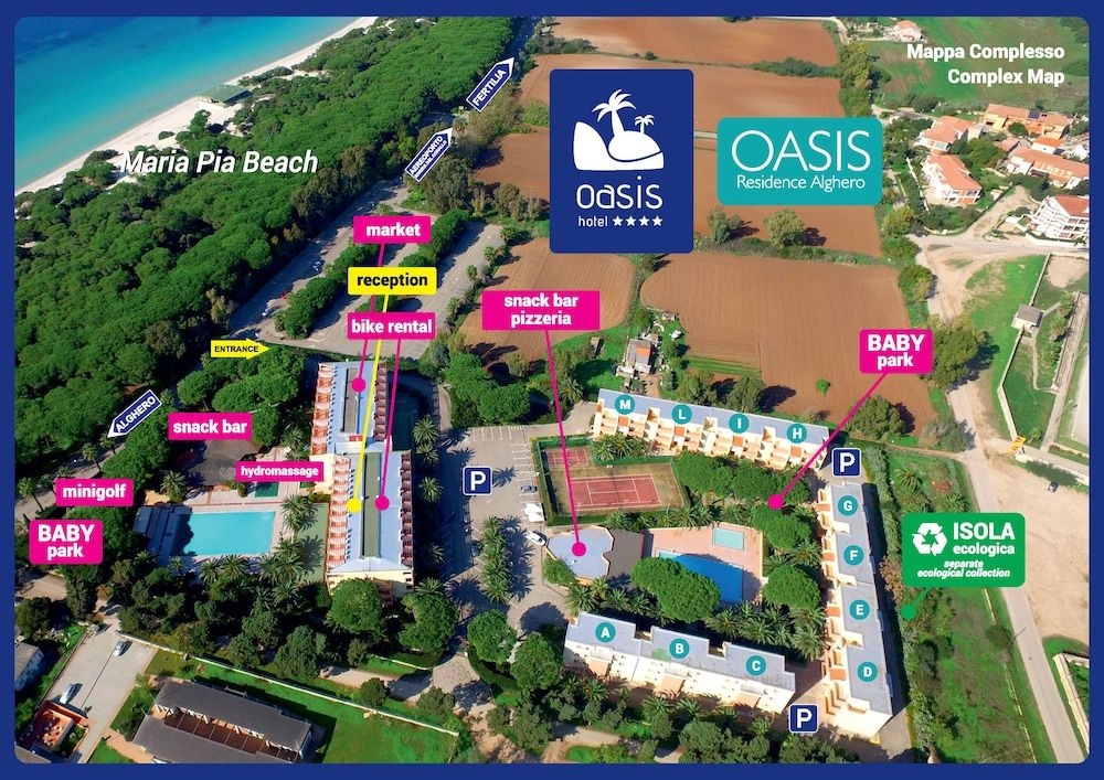 Oasis3