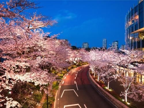 มิมารุ โตเกียว อากาซากะ (MIMARU Tokyo Akasaka)4