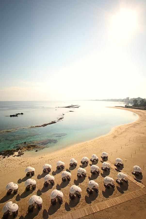 ARKIN PALM BEACH HOTEL2