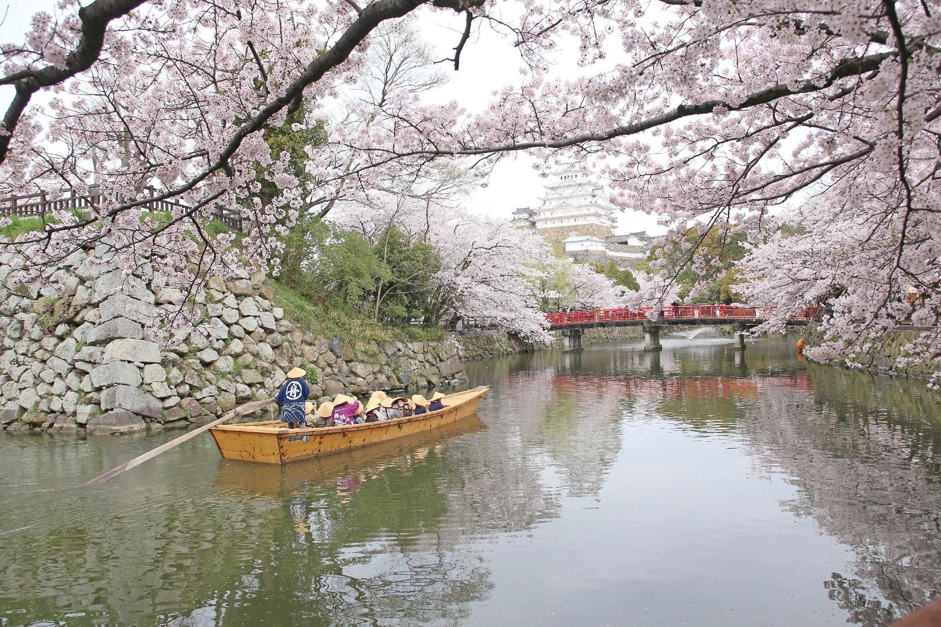 วัน โฮสเทล ฮิเมจิ (ONE Hostel Himeji)4