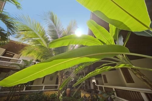 ไทย เฮาส์ บีช (Thai House Beach)1