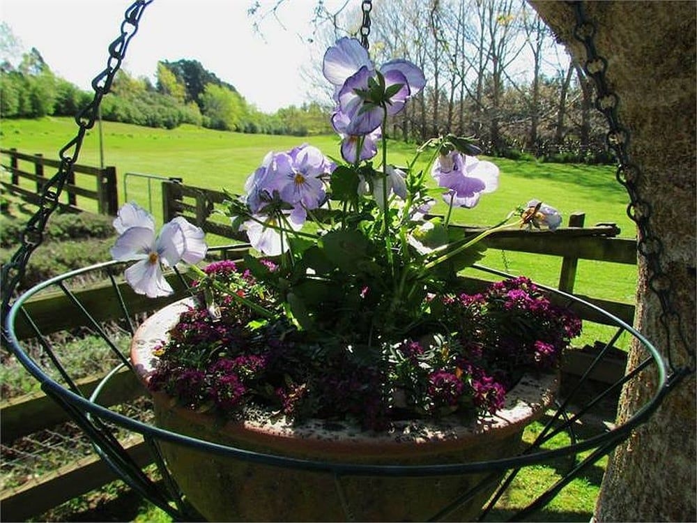 Nut Point Cottage4
