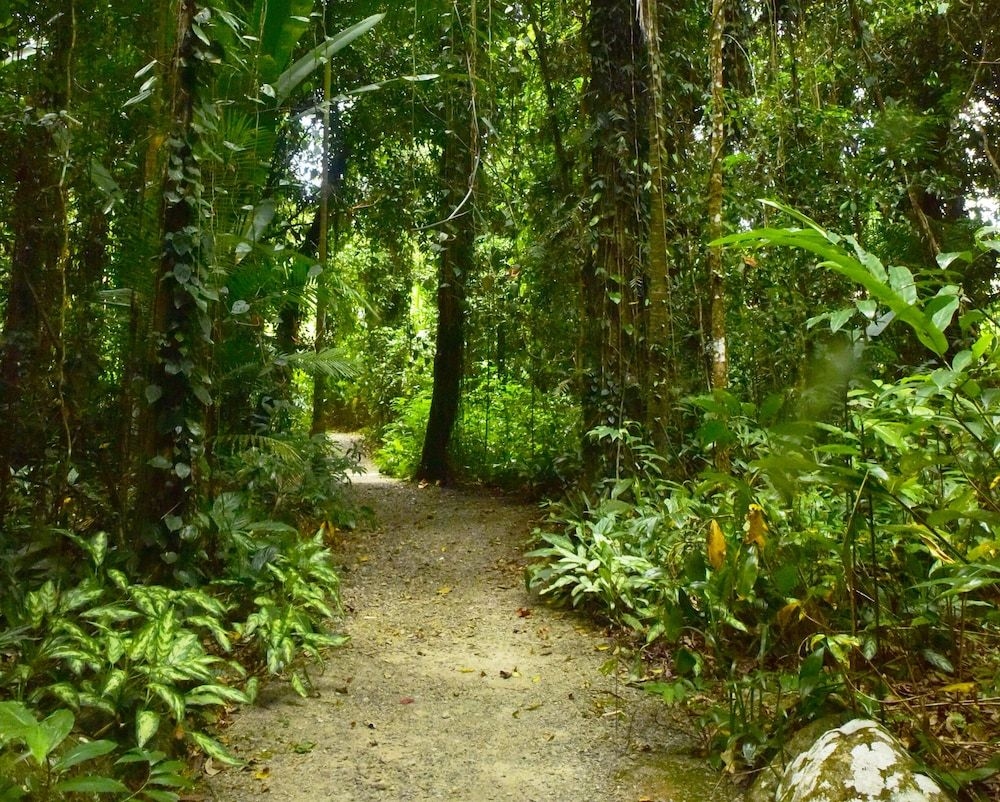 Misty Mountains Rainforest Retreat2